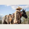 Vintage Marlboro Man Style Light Brown Sheepskin Leather Coat (3)